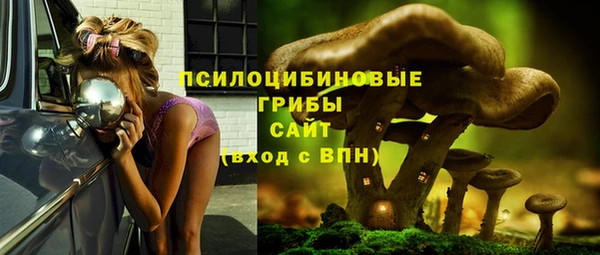 герыч Алексин